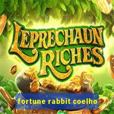 fortune rabbit coelho